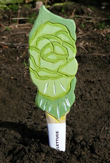 Veggie Stikk - Lettuce