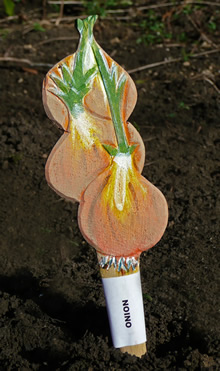 Veggie Stikk - Onion