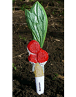 Veggie Stikk - Radish