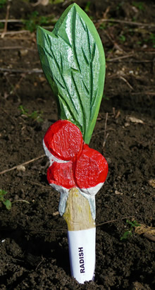 Veggie Stikk - Radish