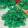 World Kitchen Gala Lambs Lettuce Seeds