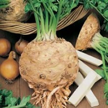 World Kitchen Giant Prague Celeriac Seeds