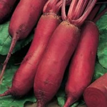 World Kitchen Monorubra Beetroot Seeds