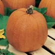 World Kitchen New England Pie Pumpkin Seeds
