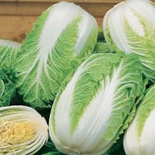 World Kitchen Orient Surprise F1 Chinese Cabbage Seeds