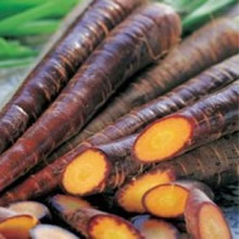 World Kitchen Purple Haze F1 Carrot Seeds