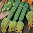 World Kitchen Striato d'Italia Courgette Seeds