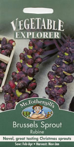 Vegetable Explorer Rubine Brussels Sprout Seeds