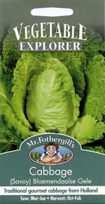 Vegetable Explorer (Savoy) Bloemendaalse Gele Cabbage Vegetable Seeds
