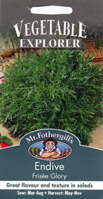 Vegetable Explorer Frisee Glory Endive Seeds