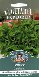 Vegetable Explorer Catalogna Lettuce Seeds