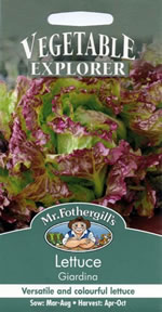 Vegetable Explorer Giardina Lettuce Seeds