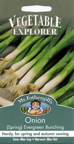 Vegetable Explorer Evergreen Bunching (Spring) Onion Seeds
