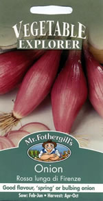 Vegetable Explorer Rossa Lunga di Fierenze Onion Seeds
