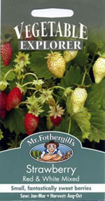 Vegetable Explorer (Alpine) Red and White Mixed Strawberry Seeds