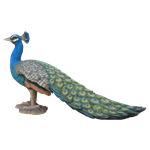 Small Image of Real Life Peacock - Resin Garden Ornament