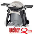 Weber Q220 with Permanent Cart