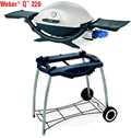 Weber Q220 with Rolling Cart