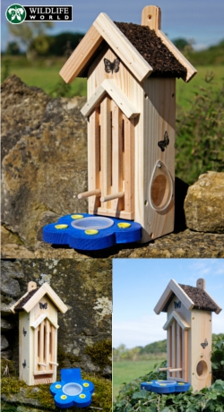 Butterly & Moth Feeder - BTF4