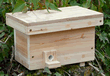 Bumble Bee Nester - BBN
