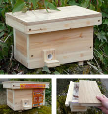 Bumble Bee Nester - BBN