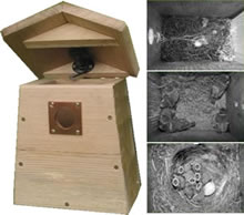 Camera Nest Box Kit