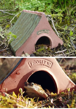 Frogitat Ceramic Frog Toad House