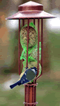 Fat Ball Bird Feeder with Pole