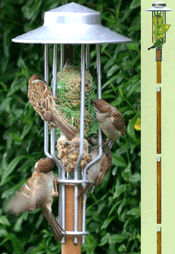 Fat Ball Bird Feeder with Pole