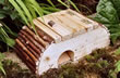 Frog/Toad House - F/TH