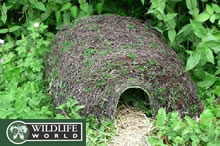 Natural Hedgehog House - HH5
