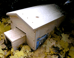 Large Hedgehog House with Extendable Tunnel - HOG2