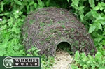 Natural Hedgehog House - HH5