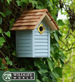 New England Nest Box - Faded Corn Flower