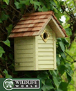 New England Nest Box - Sun-Kissed Lemon