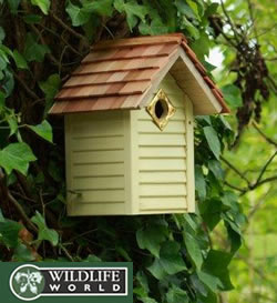 New England Nest Box - Sun-Kissed Lemon