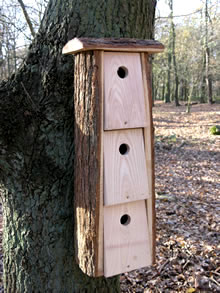 Oak Communual Bird Nest Box