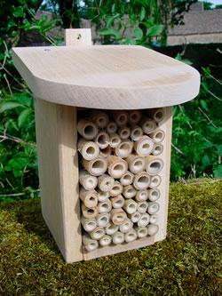 Original Beneficial Insect Box - OIH