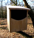 Wooden Owl Box