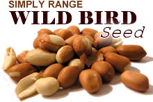 Standard Peanuts - Extra Large Bulk Bags