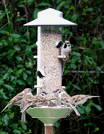 Bird Feeder Station with Pole - Silver