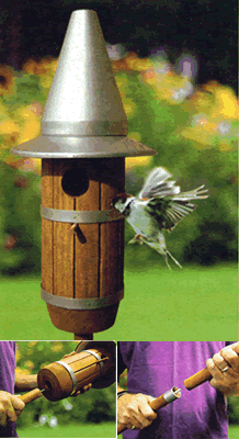 Bird Nest Box with Pole