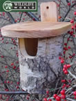 Robin Box - Natural Silver Birch - N8