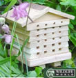 Solitary Bee Hive - SBH1