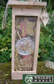 Bird Feeder Gift Hamper - BGH