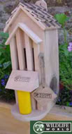 Butterfly Habitat Feeder - BTF2
