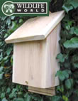 Chavenage Bat Box - CBB