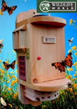 Solar Insect Study Chamber - ISC