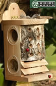 Ladybird / Lacewing Log - LL4
