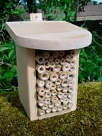 Larch/Oak/Acacia Beneficial Insect Box - OIH